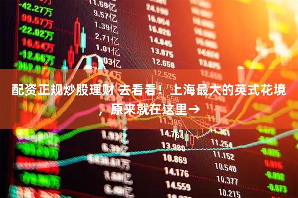 配资正规炒股理财 去看看！上海最大的英式花境，原来就在这里→